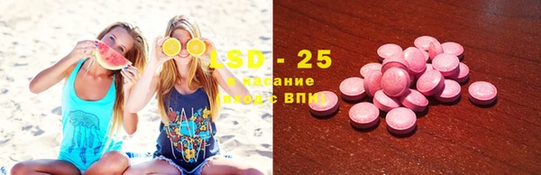 крисы Беломорск