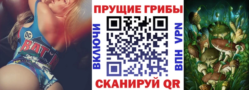 хочу   Малмыж  MEGA как зайти  нарко площадка клад  Псилоцибиновые грибы прущие грибы 